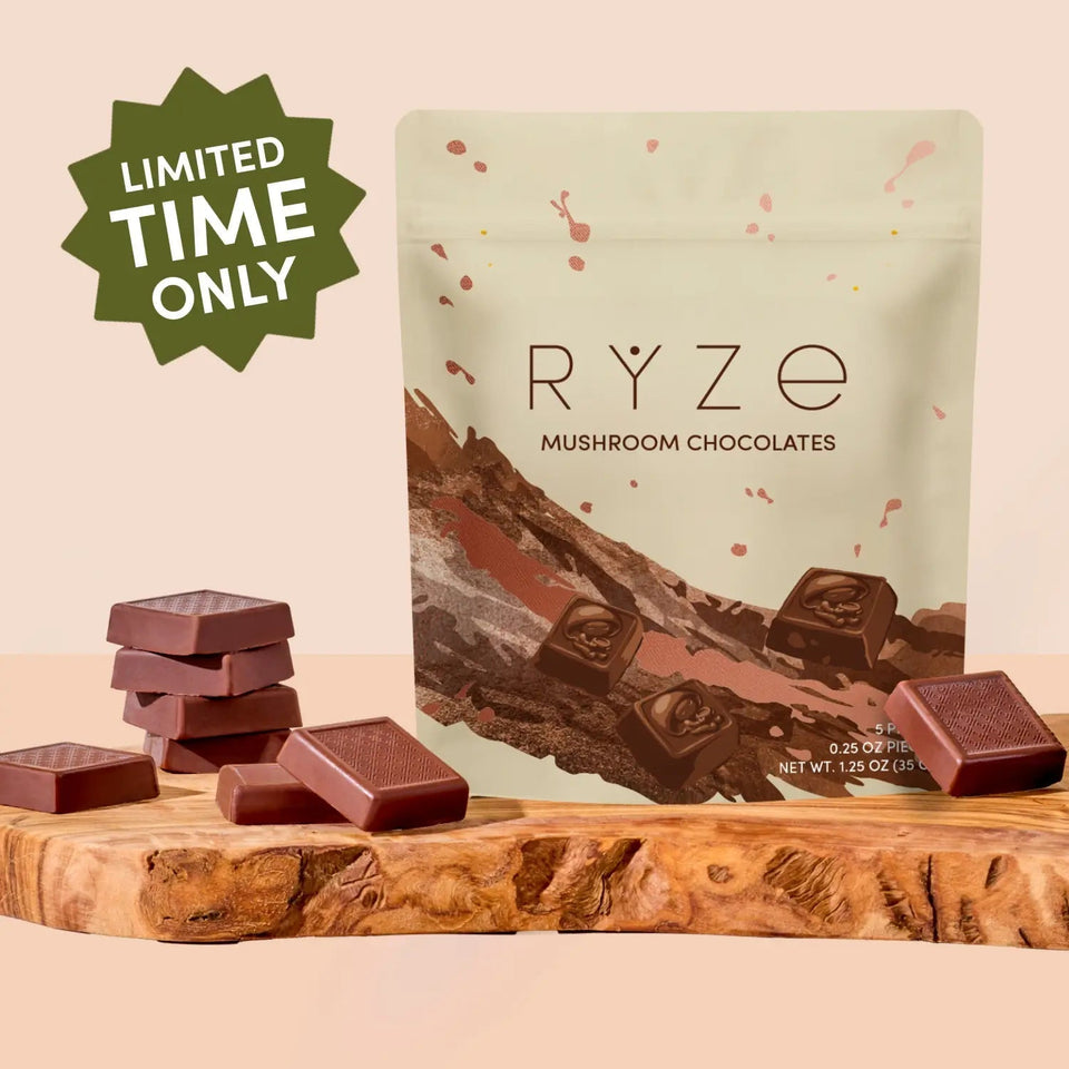 Mushroom Chocolates Rye (15 pieces) - Easy Mushroom Style